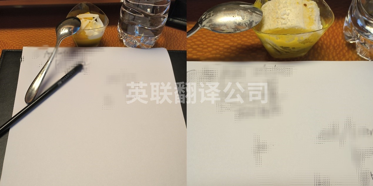 7月28日-31日 深圳新能源英语商务口译